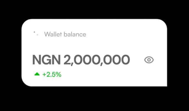 Business wallet balance card